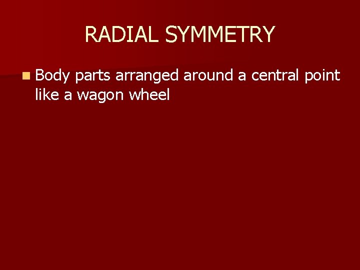 RADIAL SYMMETRY n Body parts arranged around a central point like a wagon wheel