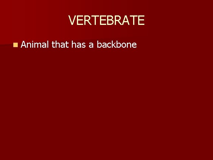 VERTEBRATE n Animal that has a backbone 