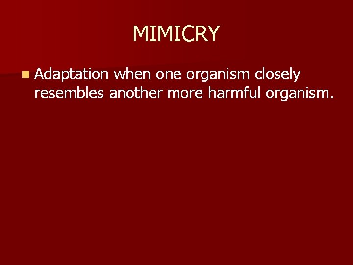 MIMICRY n Adaptation when one organism closely resembles another more harmful organism. 