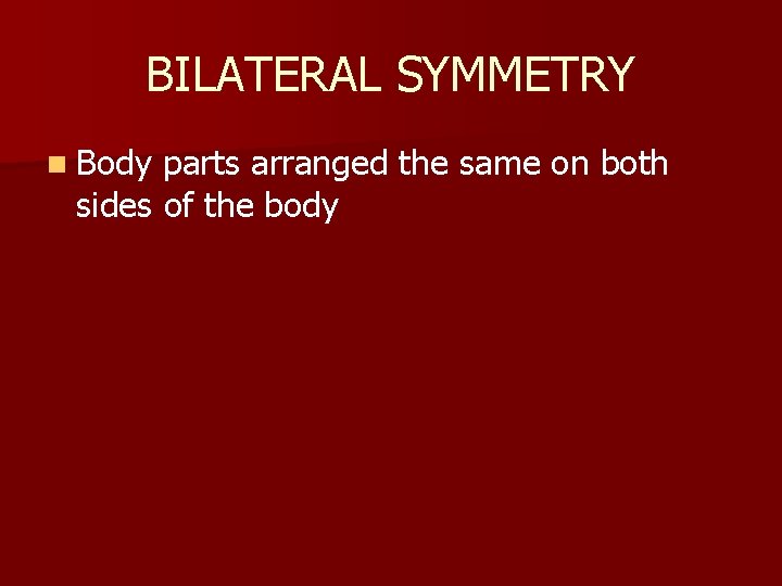 BILATERAL SYMMETRY n Body parts arranged the same on both sides of the body