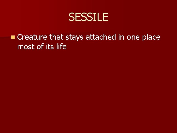 SESSILE n Creature that stays attached in one place most of its life 
