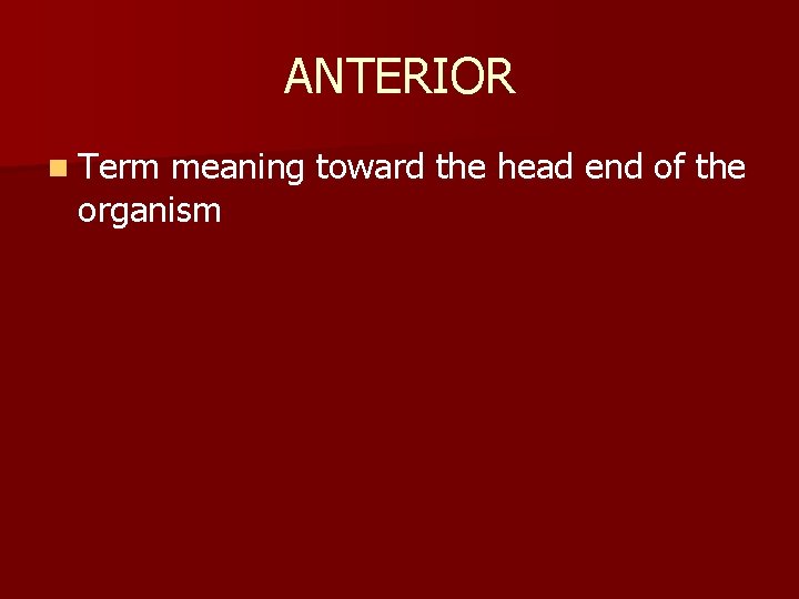 ANTERIOR n Term meaning toward the head end of the organism 