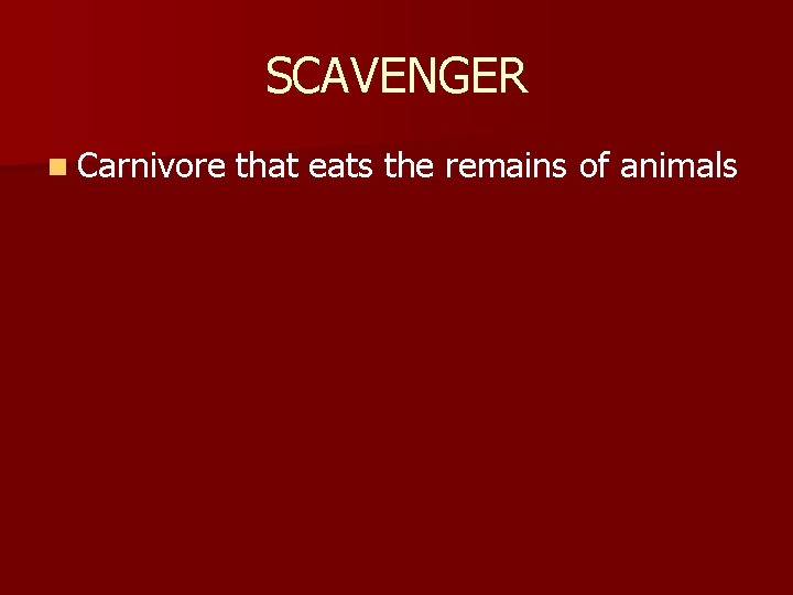 SCAVENGER n Carnivore that eats the remains of animals 
