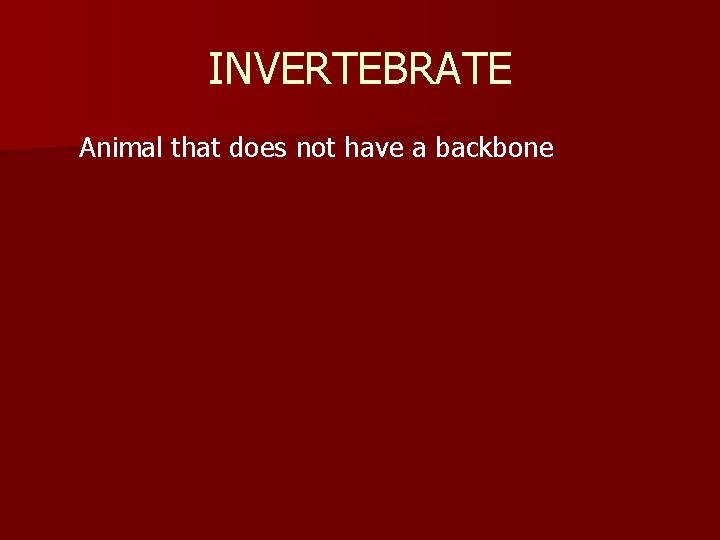 INVERTEBRATE Animal that does not have a backbone 