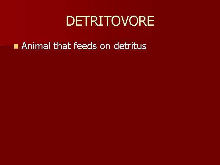 DETRITOVORE n Animal that feeds on detritus 