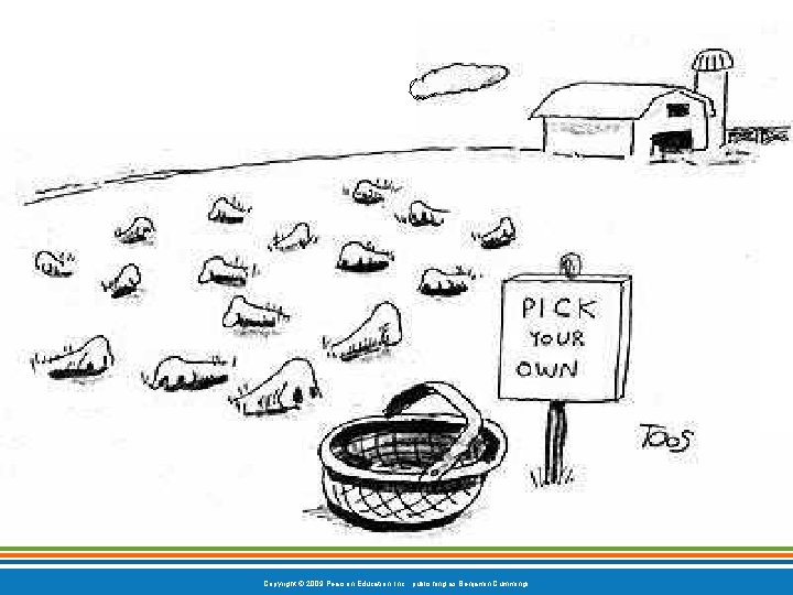 Copyright © 2009 Pearson Education, Inc. , publishing as Benjamin Cummings 