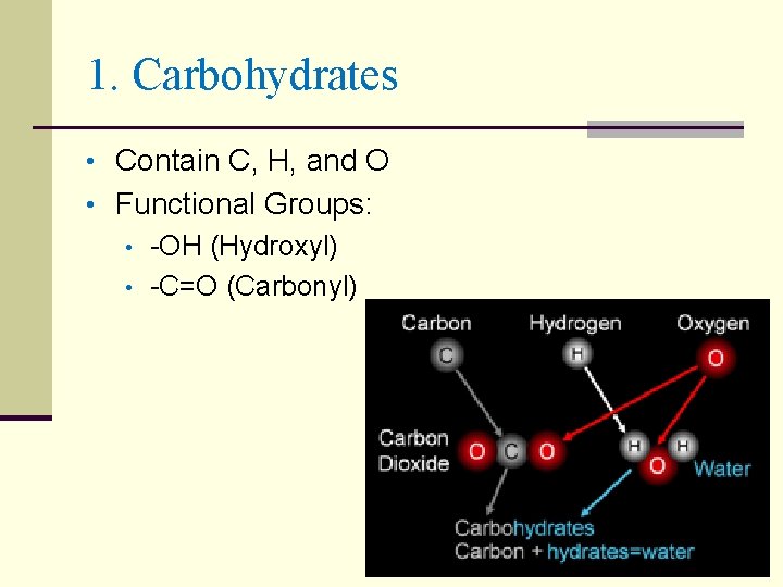 1. Carbohydrates • Contain C, H, and O • Functional Groups: • -OH (Hydroxyl)