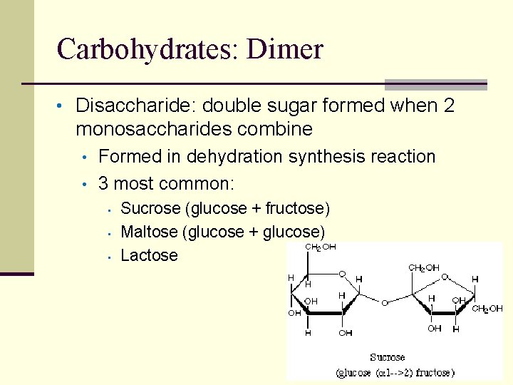 Carbohydrates: Dimer • Disaccharide: double sugar formed when 2 monosaccharides combine • • Formed