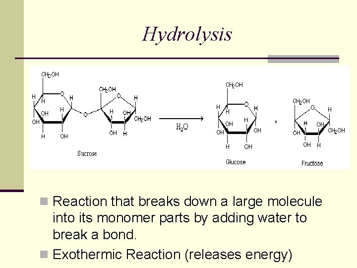 Hydrolysis n Reaction that breaks down a large molecule into its monomer parts by