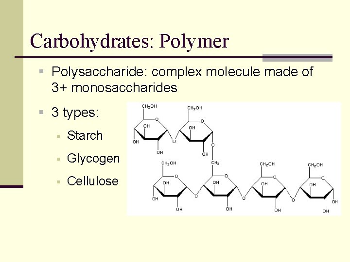 Carbohydrates: Polymer § Polysaccharide: complex molecule made of 3+ monosaccharides § 3 types: §