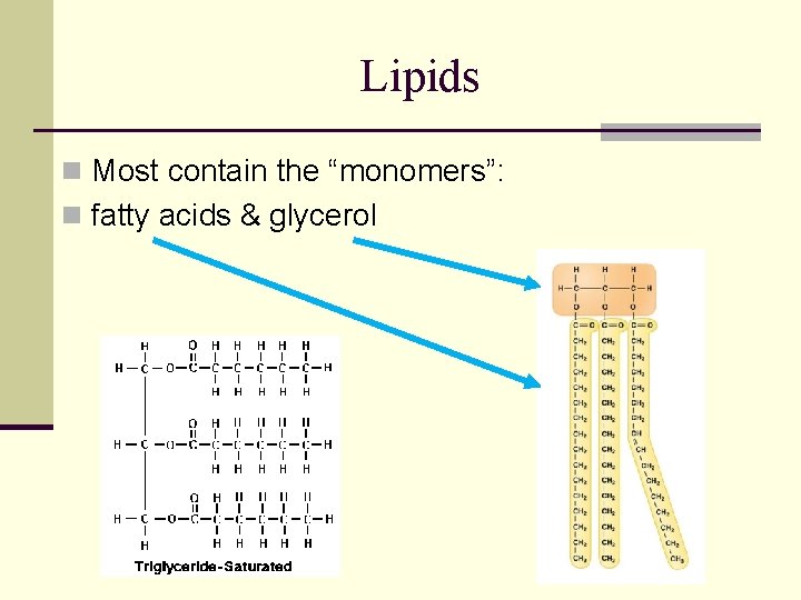 Lipids n Most contain the “monomers”: n fatty acids & glycerol 