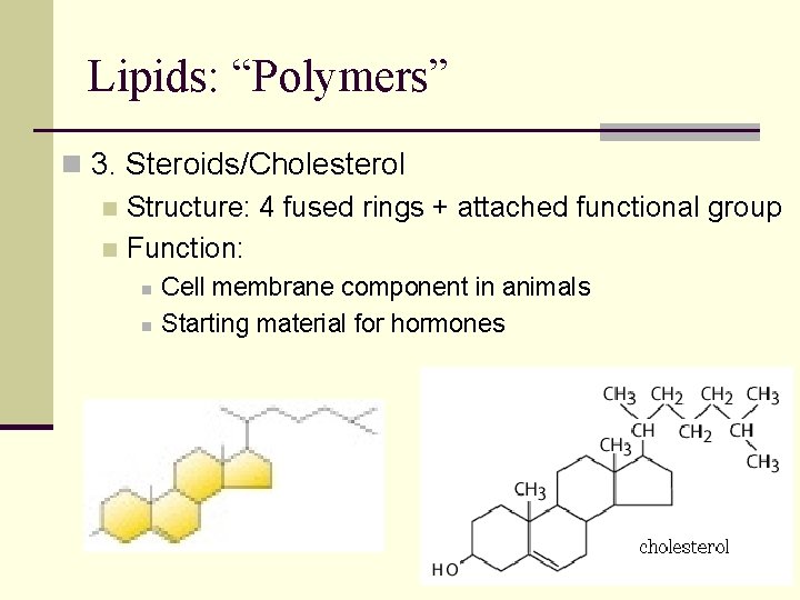 Lipids: “Polymers” n 3. Steroids/Cholesterol n Structure: 4 fused rings + attached functional group