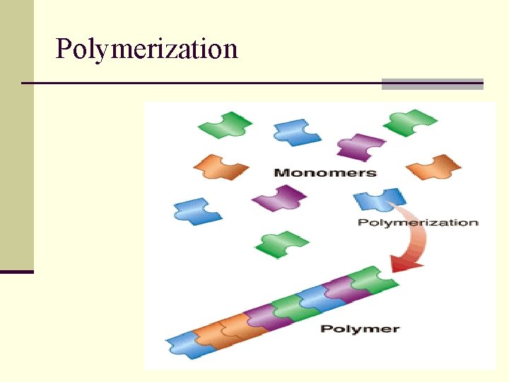 Polymerization 