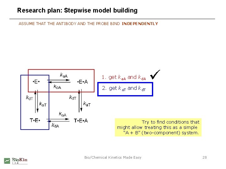 Research plan: Stepwise model building ASSUME THAT THE ANTIBODY AND THE PROBE BIND INDEPENDENTLY