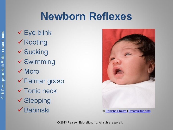 Child Development Ninth Edition ● Laura E. Berk Newborn Reflexes ü Eye blink ü