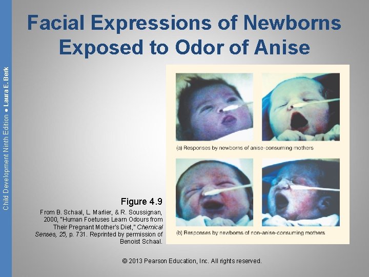 Child Development Ninth Edition ● Laura E. Berk Facial Expressions of Newborns Exposed to