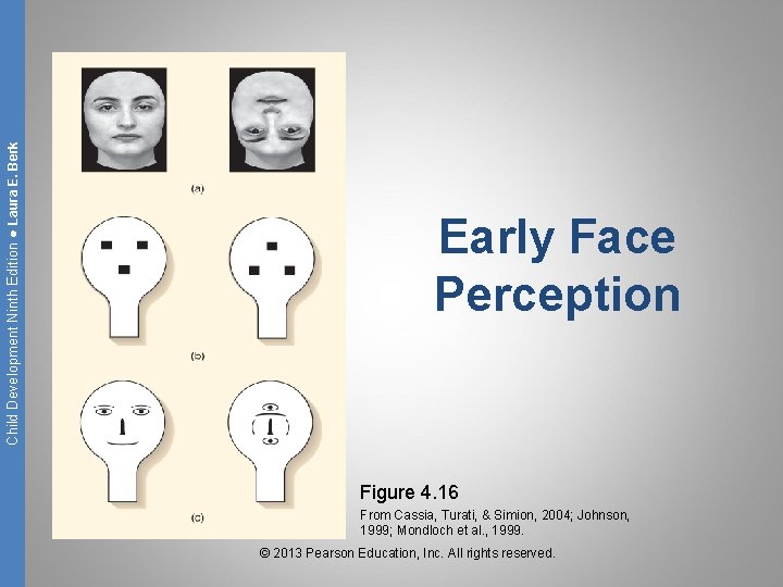 Child Development Ninth Edition ● Laura E. Berk Early Face Perception Figure 4. 16