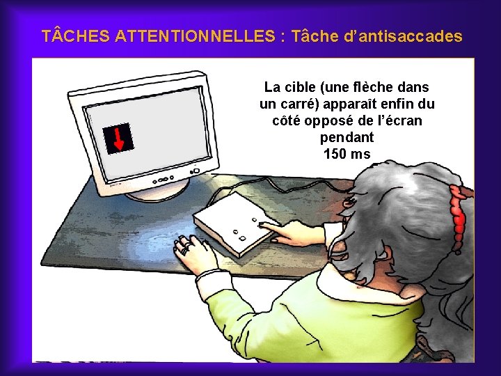 T CHES ATTENTIONNELLES : Tâche d’antisaccades La cible (une flèche dans un carré) apparaît