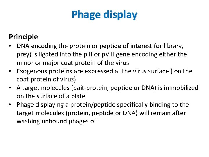 Phage display Principle • DNA encoding the protein or peptide of interest (or library,