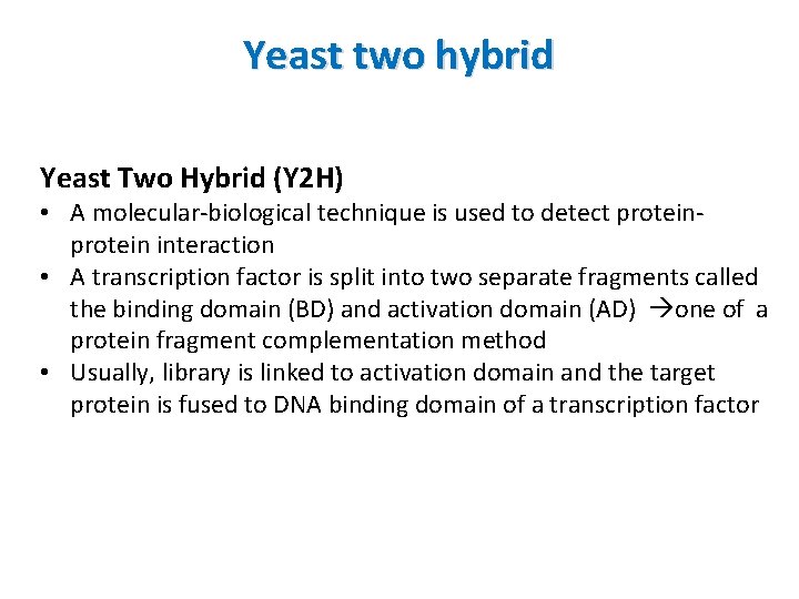 Yeast two hybrid Yeast Two Hybrid (Y 2 H) • A molecular-biological technique is