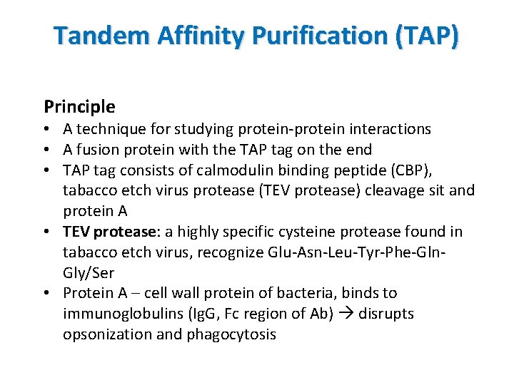 Tandem Affinity Purification (TAP) Principle • A technique for studying protein-protein interactions • A
