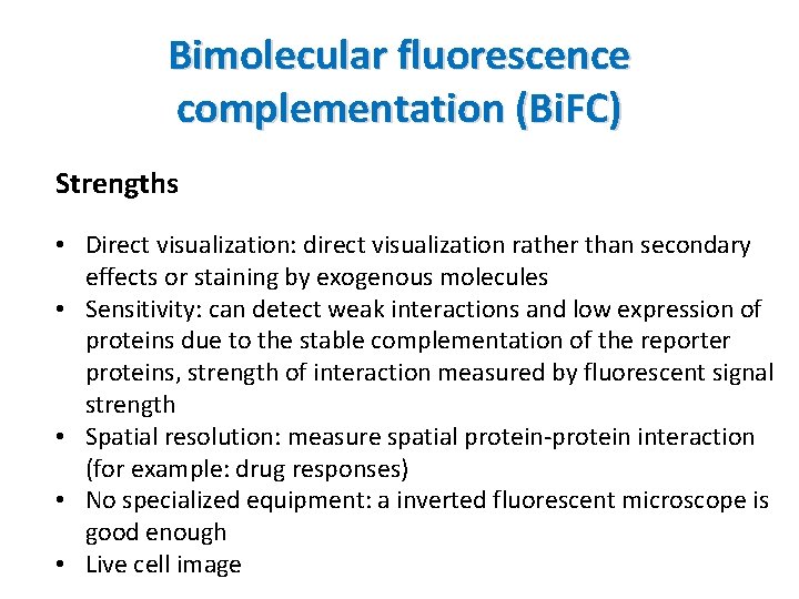 Bimolecular fluorescence complementation (Bi. FC) Strengths • Direct visualization: direct visualization rather than secondary