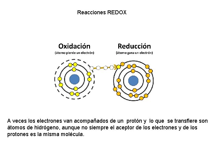 Reacciones REDOX A veces los electrones van acompañados de un protón y lo que