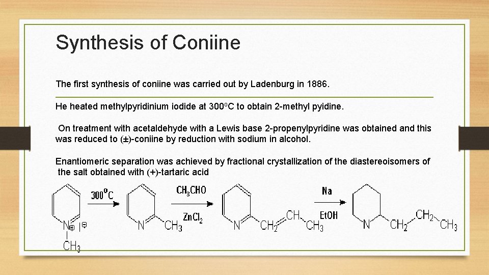 Synthesis of Coniine The first synthesis of coniine was carried out by Ladenburg in