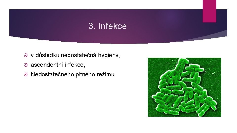 3. Infekce ᘒ v důsledku nedostatečná hygieny, ᘒ ascendentní infekce, ᘒ Nedostatečného pitného režimu