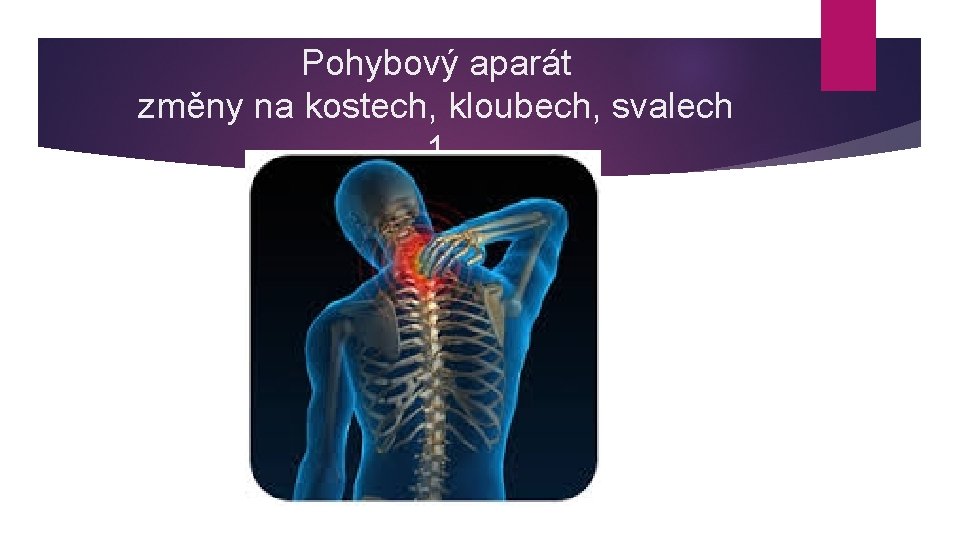 Pohybový aparát změny na kostech, kloubech, svalech 1 