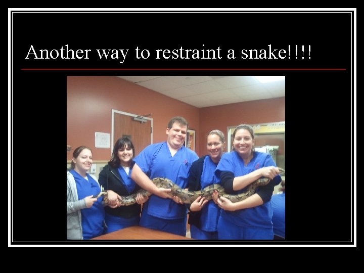 Another way to restraint a snake!!!! 