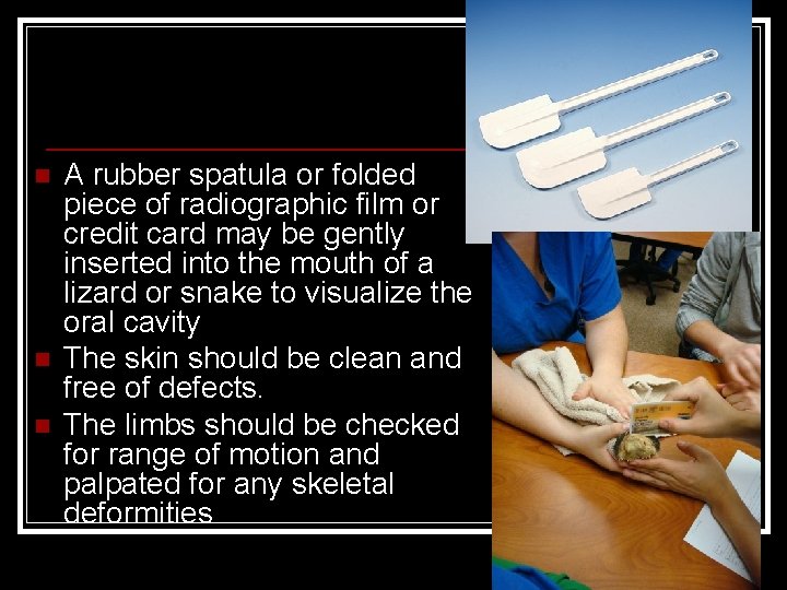 n n n A rubber spatula or folded piece of radiographic film or credit