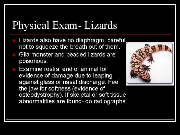 Physical Exam- Lizards n n n Lizards also have no diaphragm, careful not to