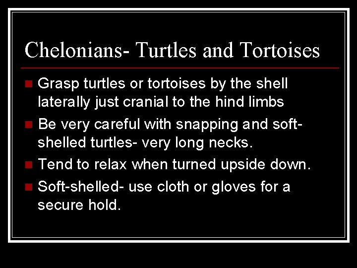 Chelonians- Turtles and Tortoises Grasp turtles or tortoises by the shell laterally just cranial