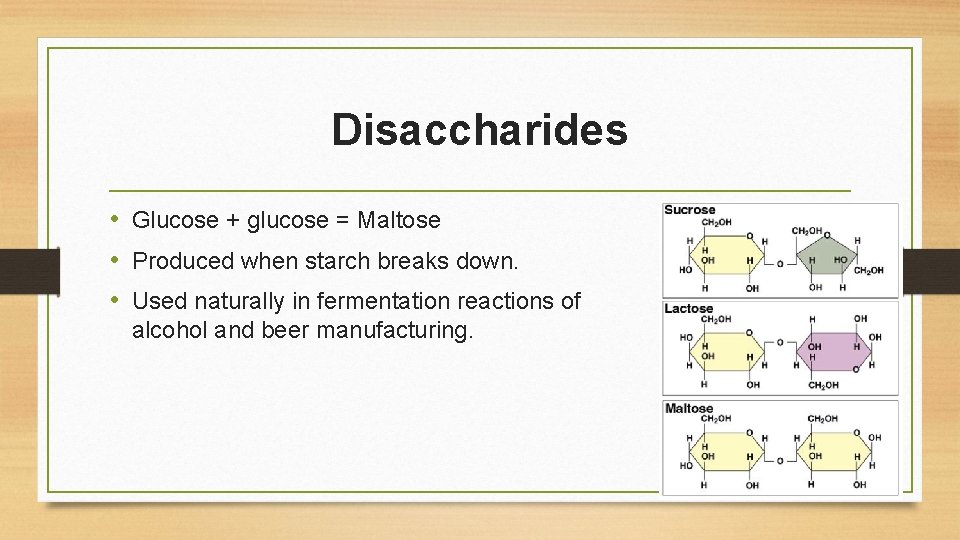 Disaccharides • Glucose + glucose = Maltose • Produced when starch breaks down. •