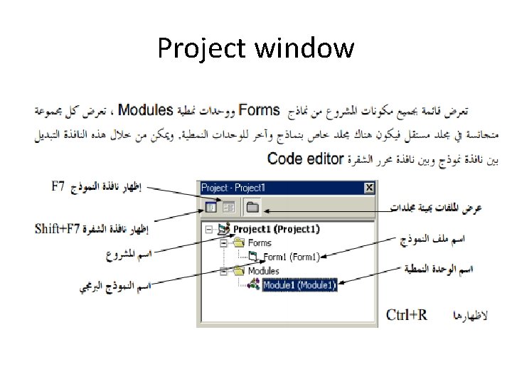 Project window 