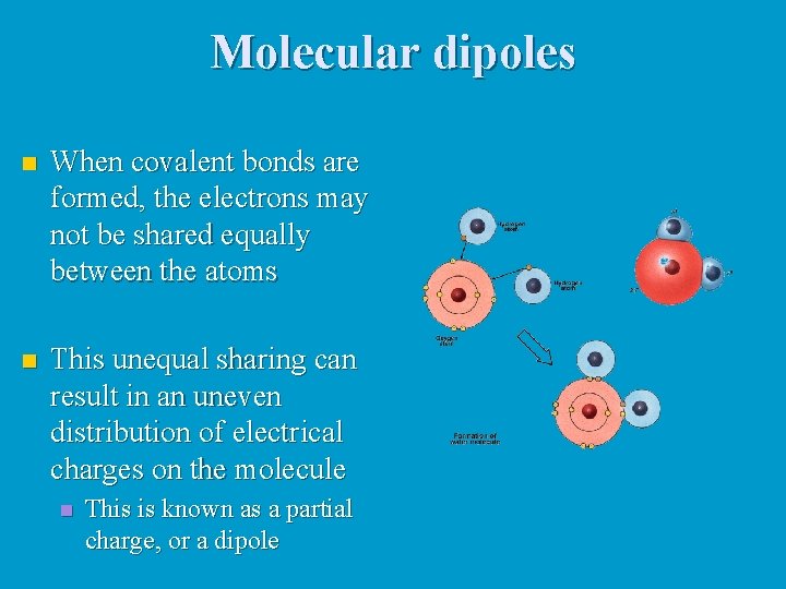 Molecular dipoles n When covalent bonds are formed, the electrons may not be shared