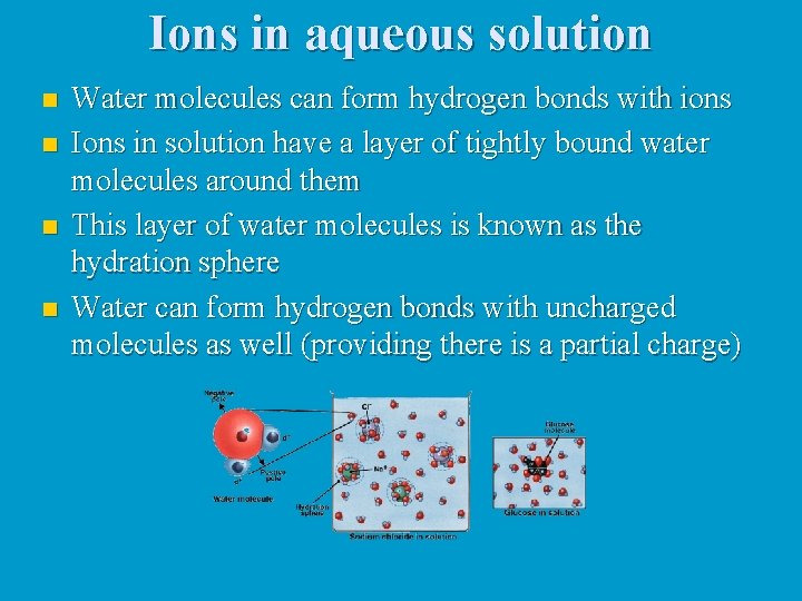 Ions in aqueous solution n n Water molecules can form hydrogen bonds with ions