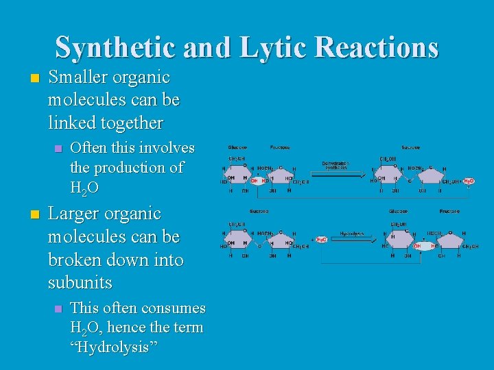 Synthetic and Lytic Reactions n Smaller organic molecules can be linked together n n