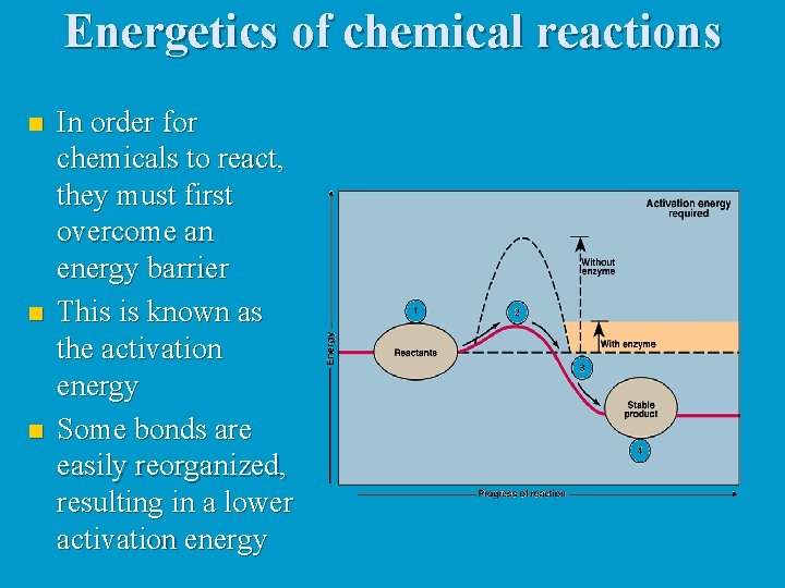 Energetics of chemical reactions n n n In order for chemicals to react, they
