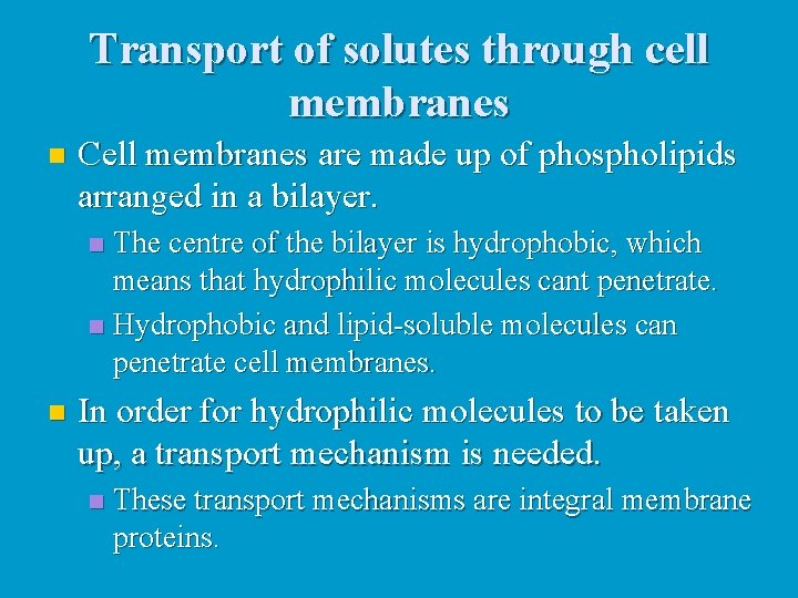 Transport of solutes through cell membranes n Cell membranes are made up of phospholipids