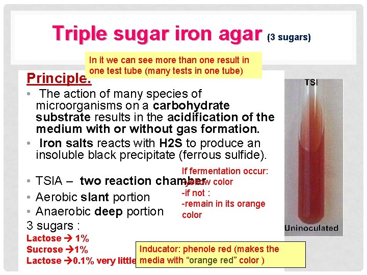 Triple sugar iron agar (3 sugars) In it we can see more than one