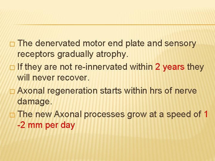 � The denervated motor end plate and sensory receptors gradually atrophy. � If they