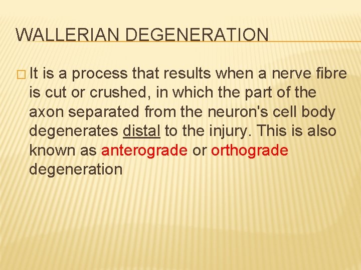 WALLERIAN DEGENERATION � It is a process that results when a nerve fibre is