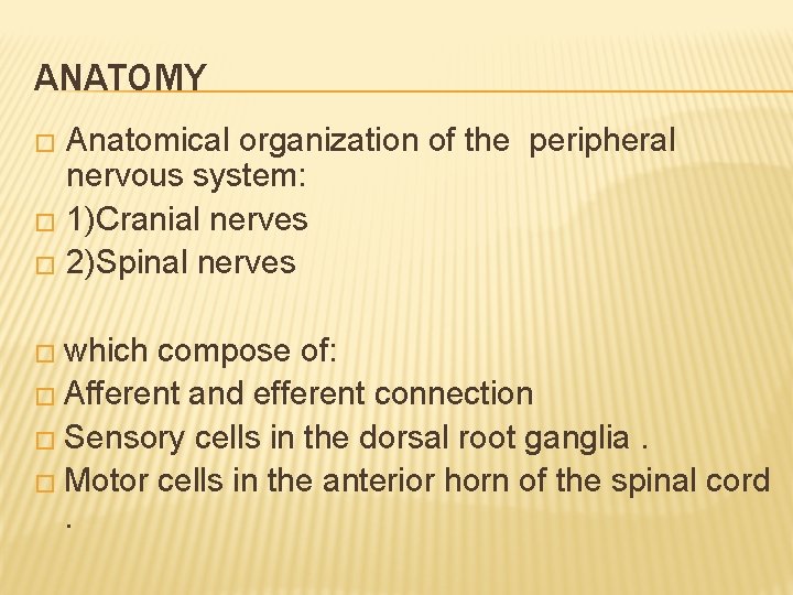 ANATOMY Anatomical organization of the peripheral nervous system: � 1)Cranial nerves � 2)Spinal nerves