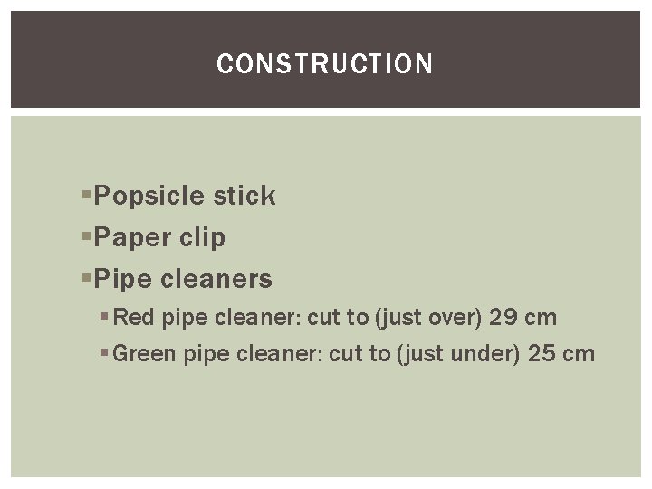 CONSTRUCTION § Popsicle stick § Paper clip § Pipe cleaners § Red pipe cleaner: