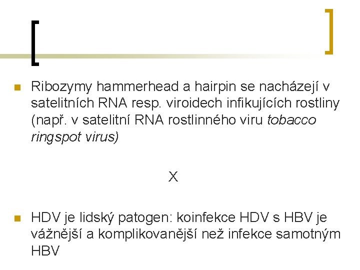 n Ribozymy hammerhead a hairpin se nacházejí v satelitních RNA resp. viroidech infikujících rostliny