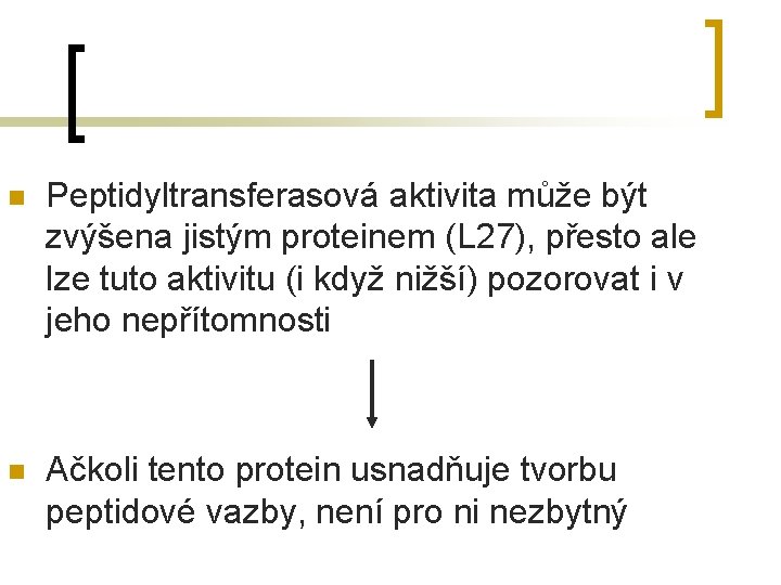 n Peptidyltransferasová aktivita může být zvýšena jistým proteinem (L 27), přesto ale lze tuto