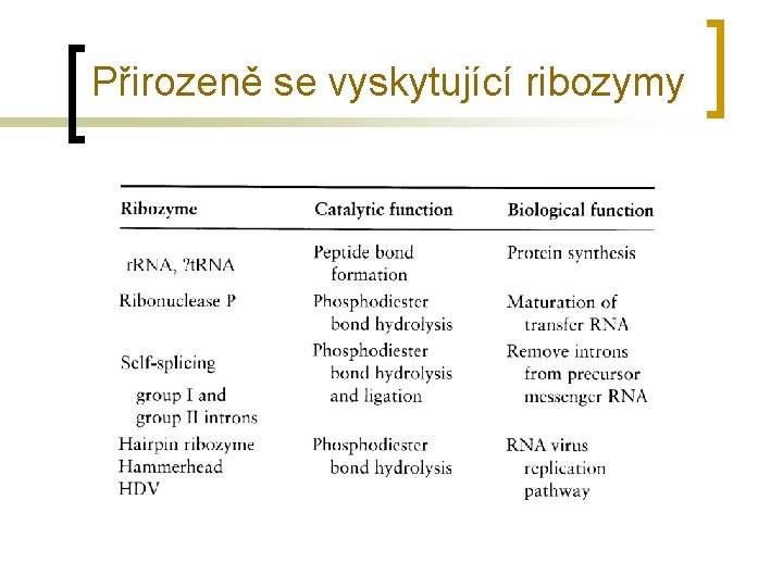 Přirozeně se vyskytující ribozymy 