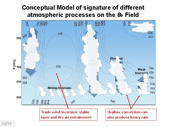 Conceptual Model of signature of different atmospheric processes on the θe Field Trade wind